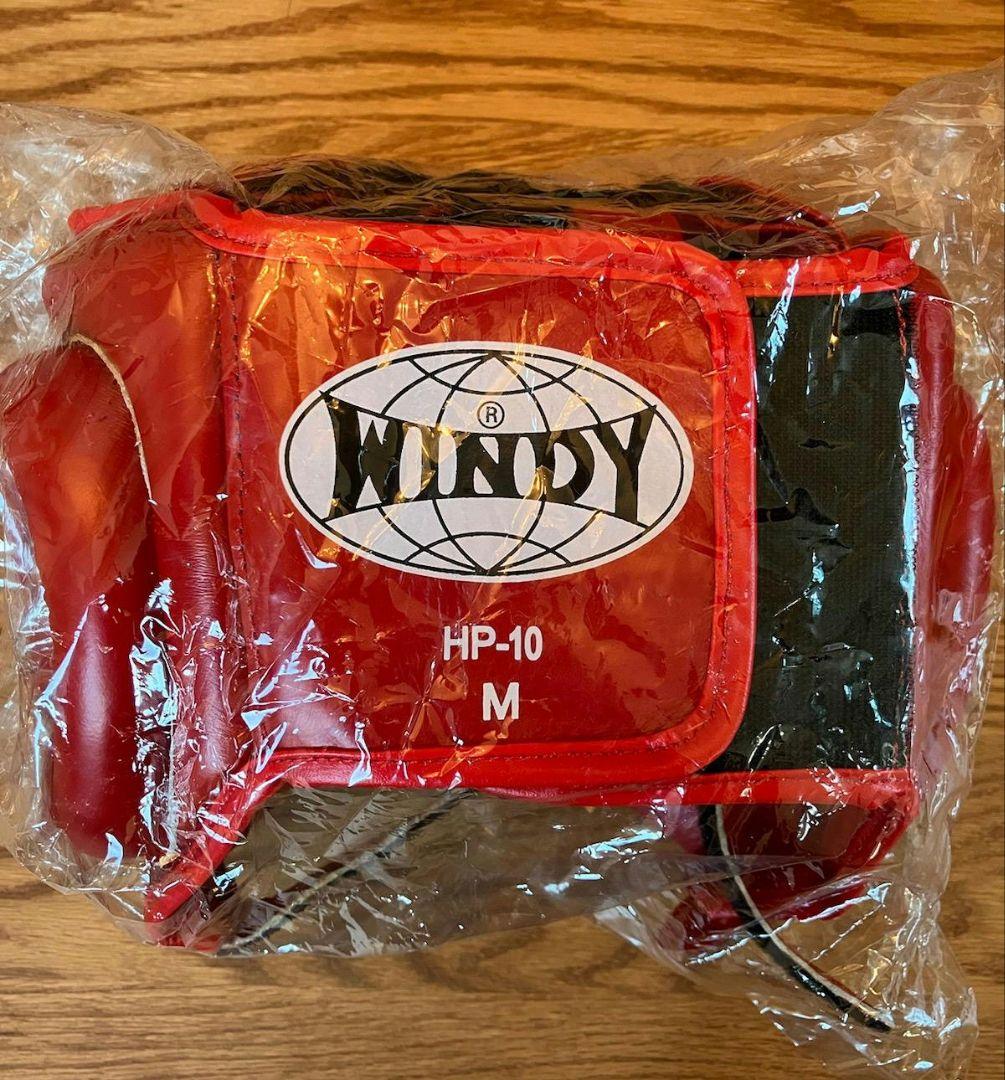 WINDY HP-10 ヘッドギア Mサイズ 赤