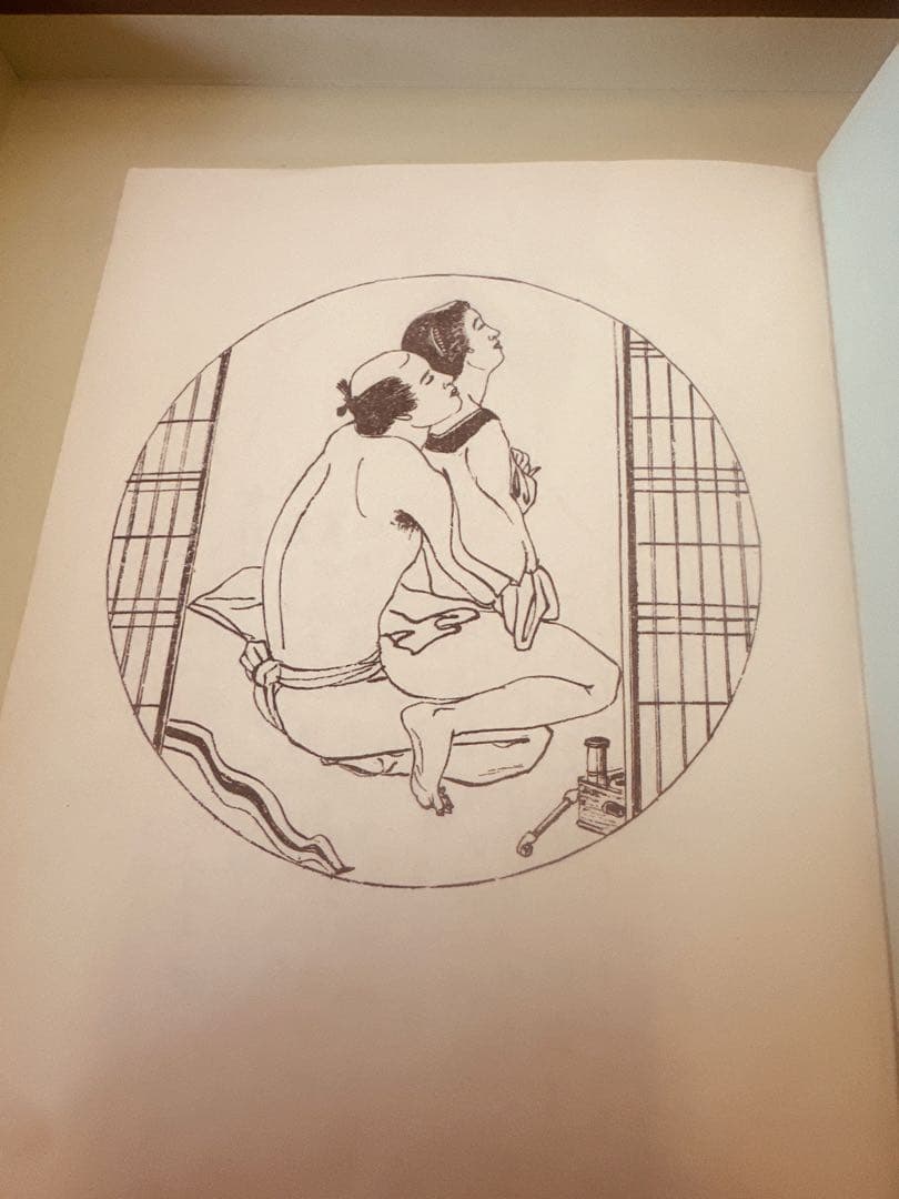 秘蔵 春画風 艶絵入り古書 大人の和本コレクション レトロ