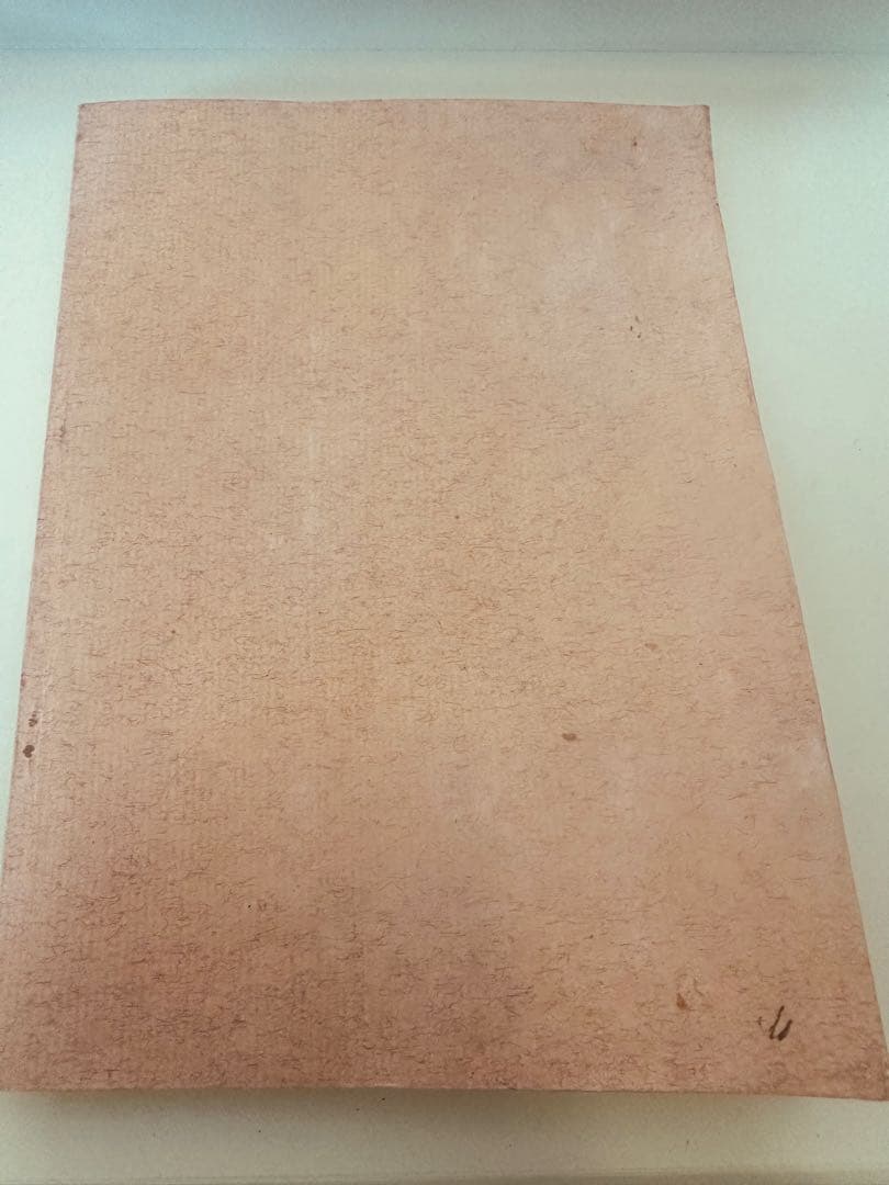 秘蔵 春画風 艶絵入り古書 大人の和本コレクション レトロ