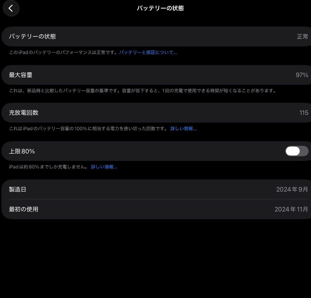 ぴょん　M4 iPad Pro スペースグレー 256GB 11インチ