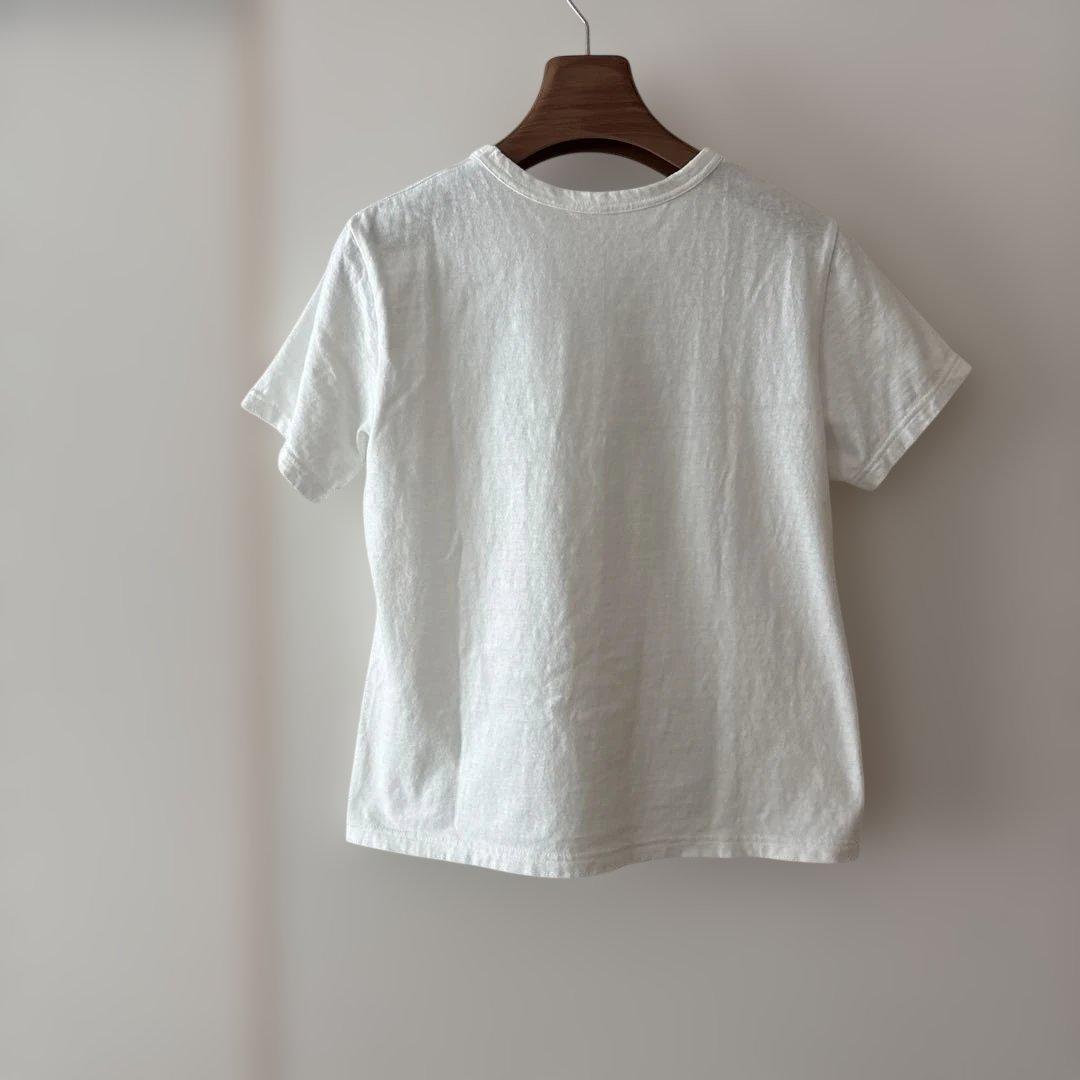 パラスパレス　海芋柄プリントTシャツ　カットソー　2025