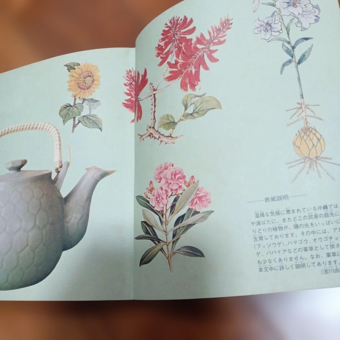 不思議によくきく　薬草と治療法　改訂復刻版　金城三郎　沖縄の薬草　2冊セット