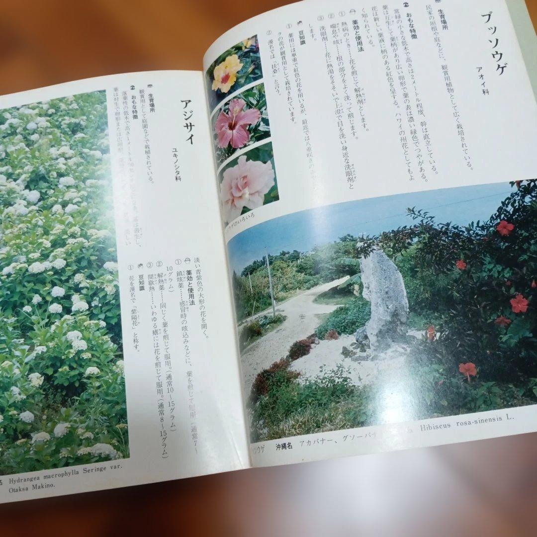 不思議によくきく　薬草と治療法　改訂復刻版　金城三郎　沖縄の薬草　2冊セット