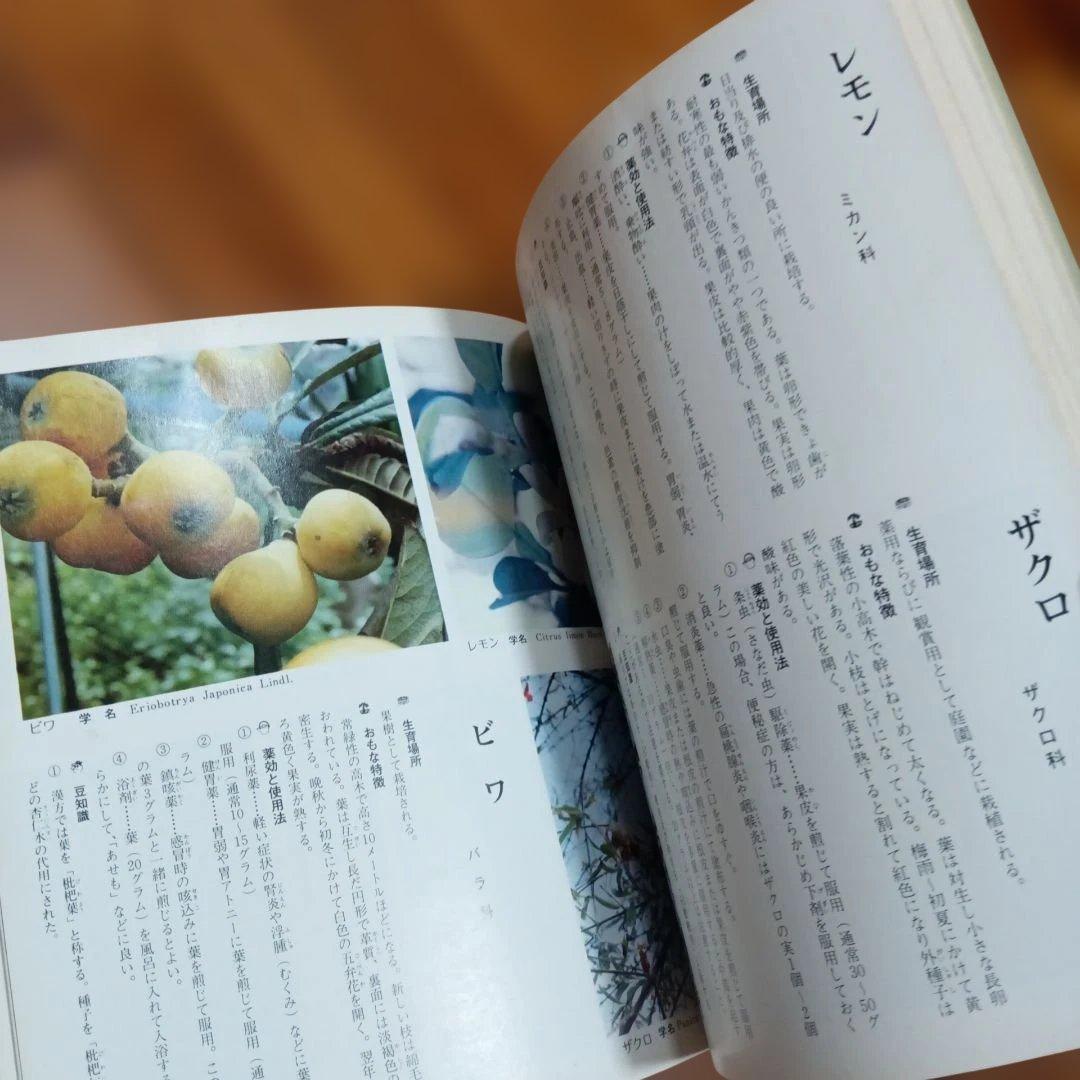 不思議によくきく　薬草と治療法　改訂復刻版　金城三郎　沖縄の薬草　2冊セット