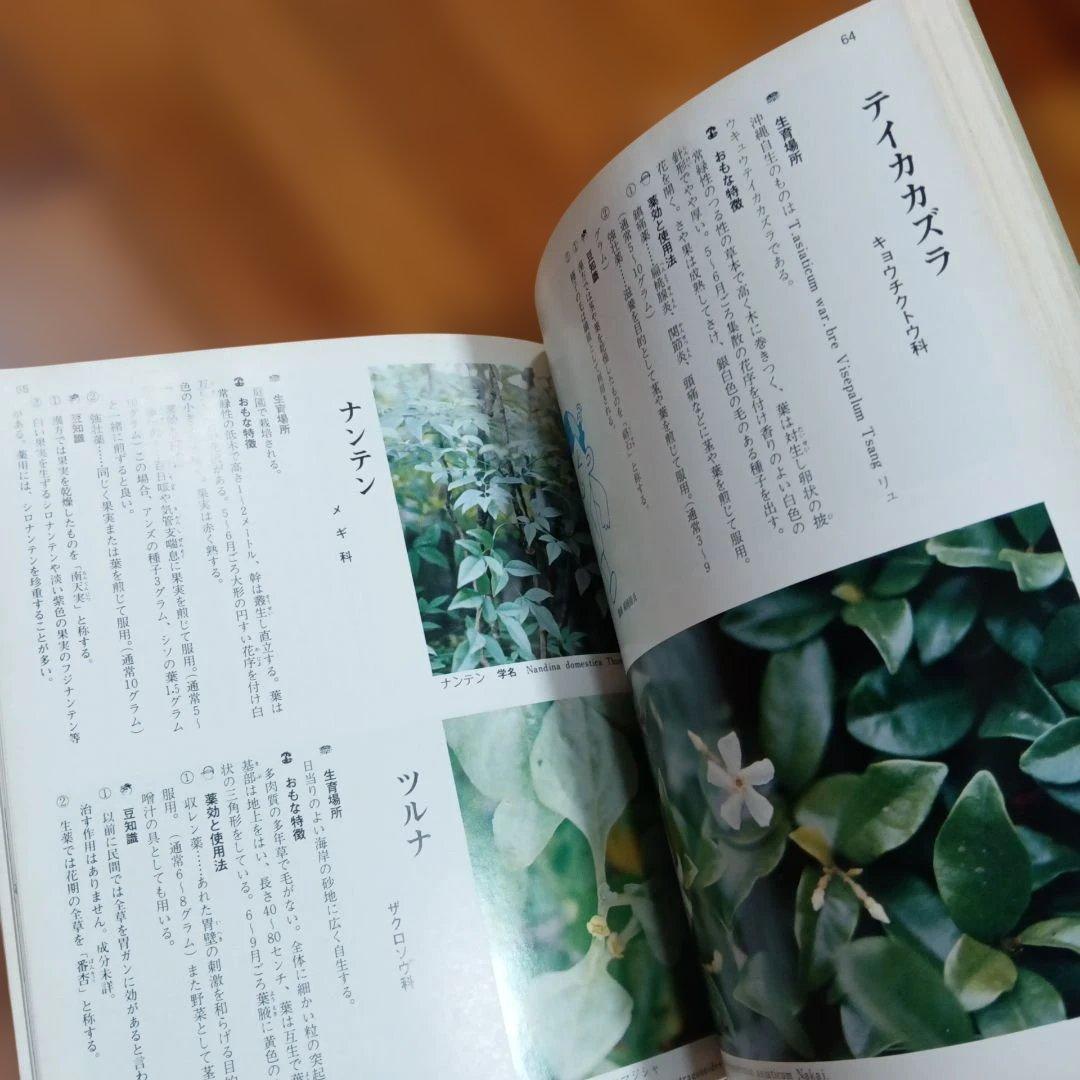 不思議によくきく　薬草と治療法　改訂復刻版　金城三郎　沖縄の薬草　2冊セット