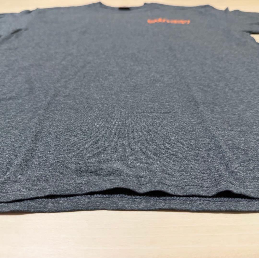 希少 STUSSY 白タグ 90s USA製 Tシャツ / グレー / Lサイズ