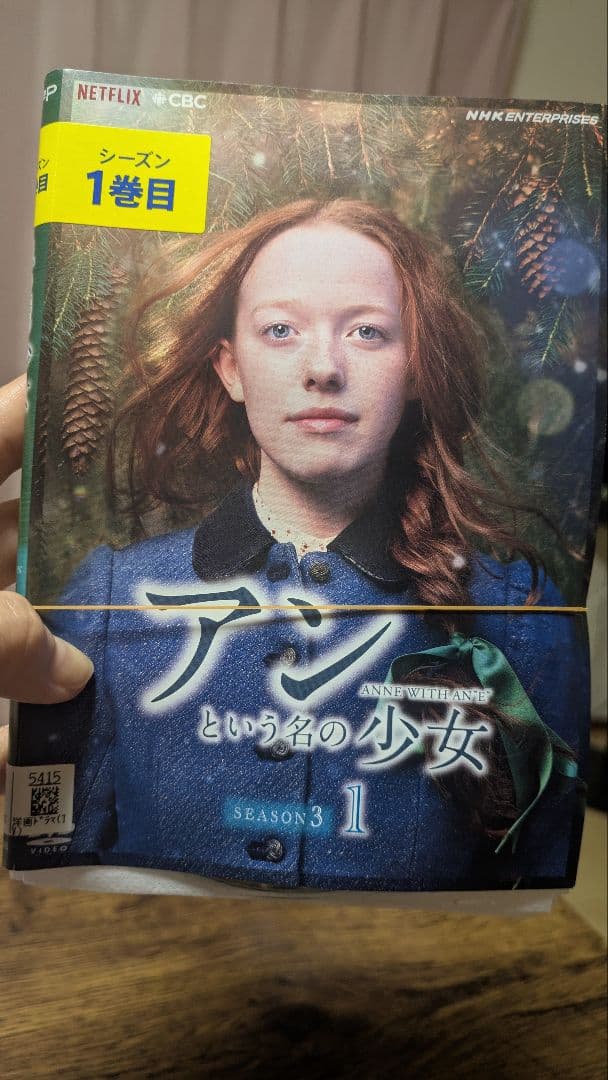 アンという名の少女 DVD 全巻セット