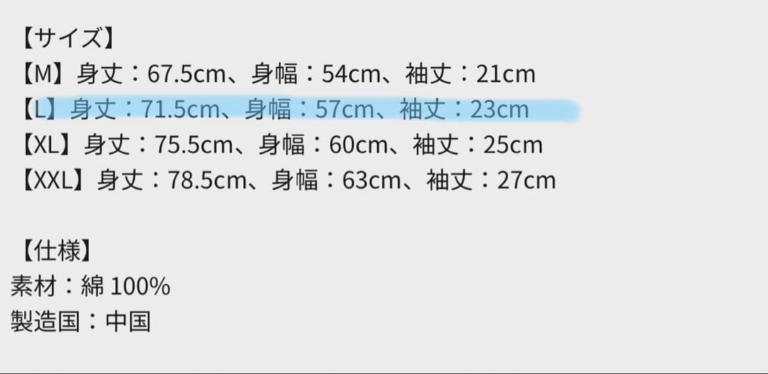 【OASIS】 live'25 日本限定Tシャツ/富士