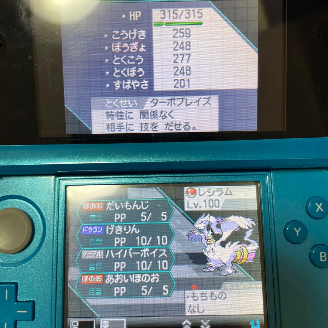 ポケットモンスター ブラック　色違い伝説、バトル用ポケモン