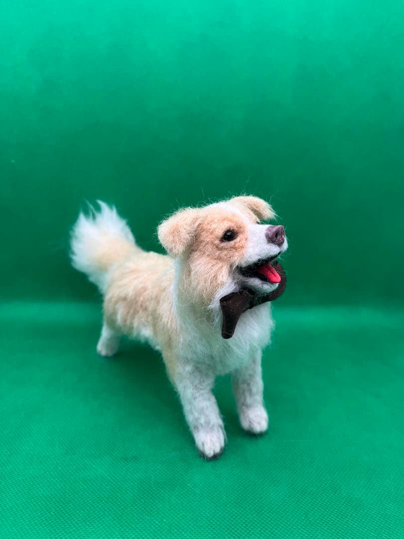 V様　オーダーページ　羊毛フェルト　シベリアンハスキー　ボーダーコリー　Sサイズ