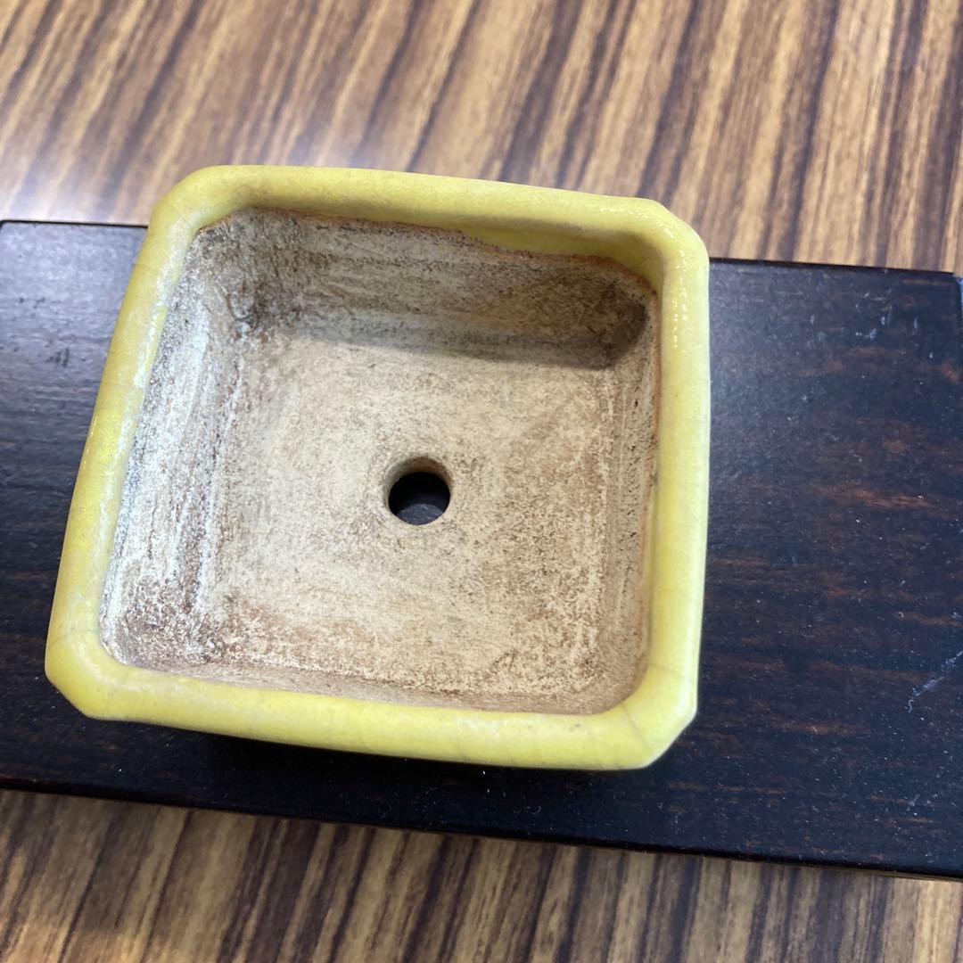 :シグナル: 佐野大助　鉢　黄色釉　:最終値下げ:
