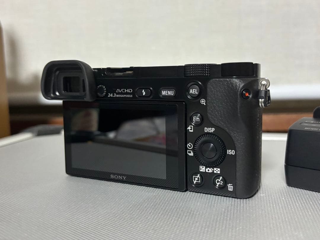 バッテリー×2 α‬6000ボディ