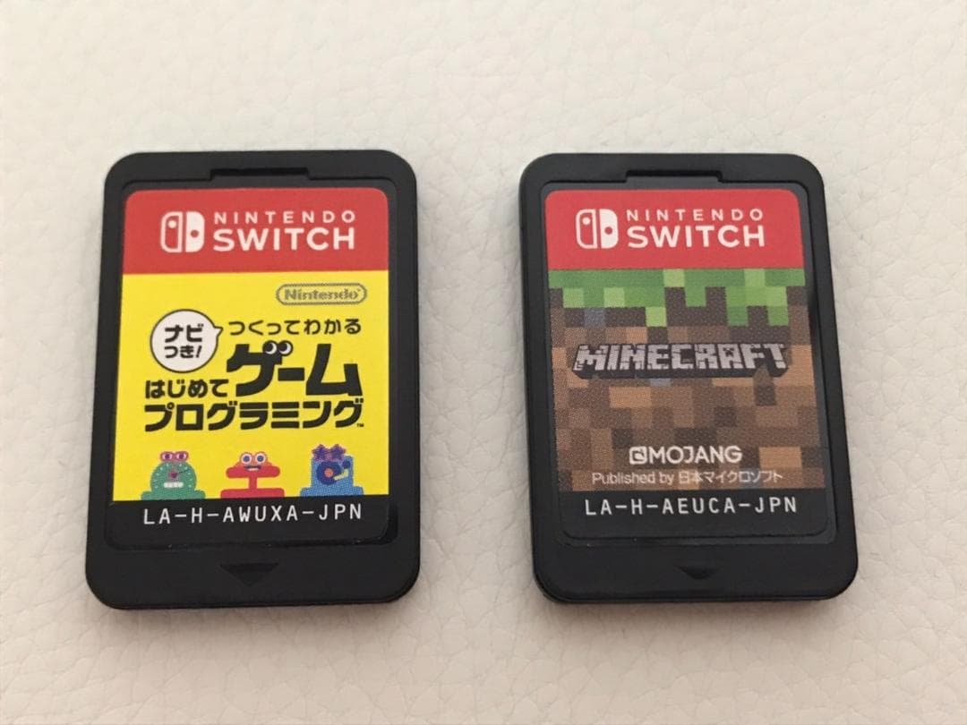 Nintendo Switch　ケース/マイクラ/はじめてゲームプログラミング付