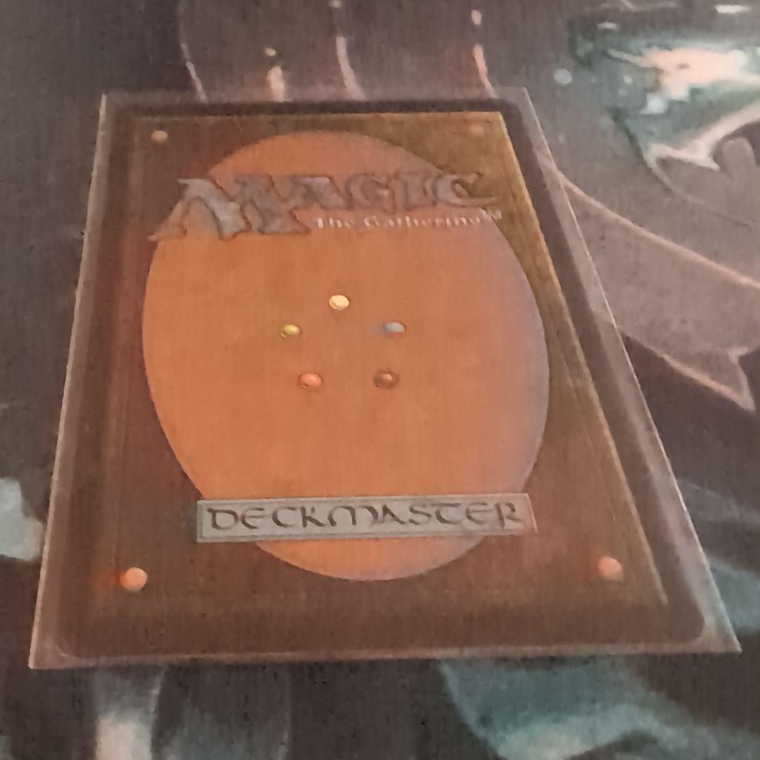 mtg 司書　ワン　シー　トン