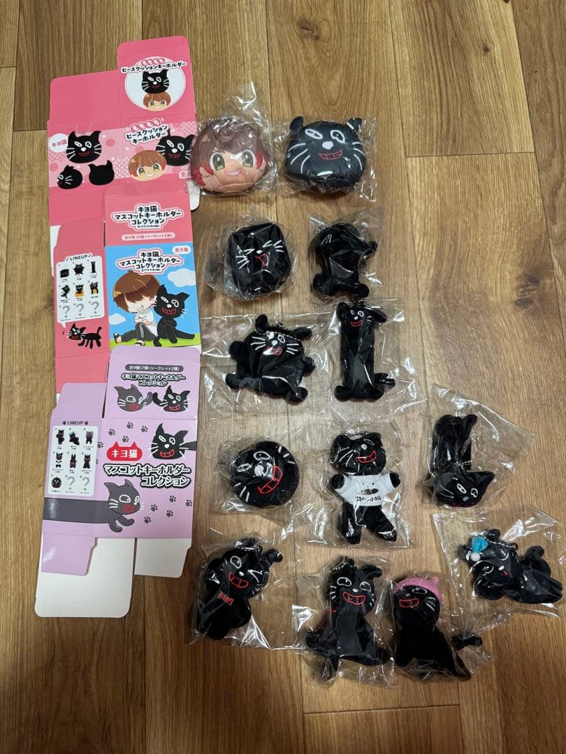K*u様 【引退品】キヨグッズ　入手困難品多数