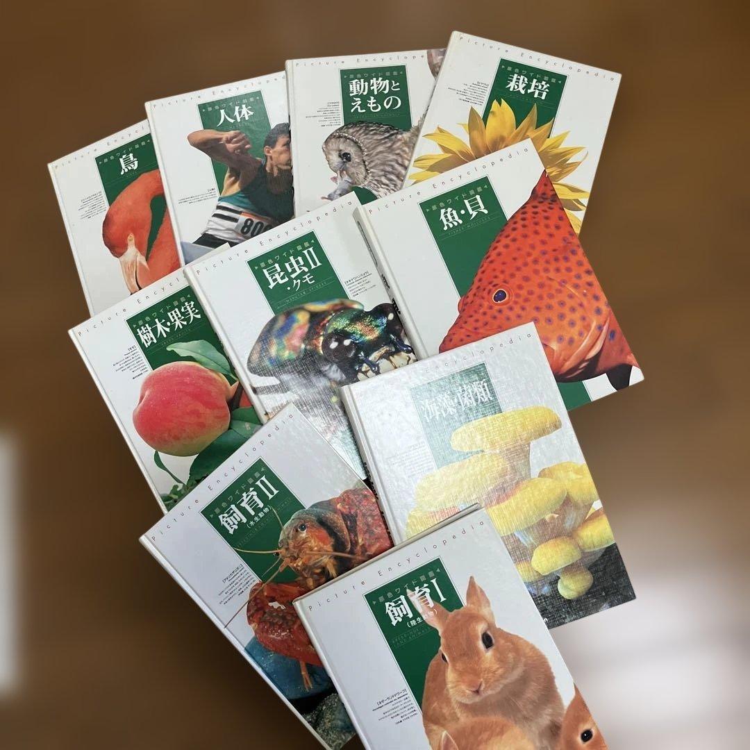 学研　原色ワイド図鑑　20冊　＋　総索引1冊セット