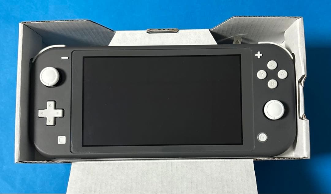 Nintendo Switch Lite グレー本体　箱付き 【動作確認済】