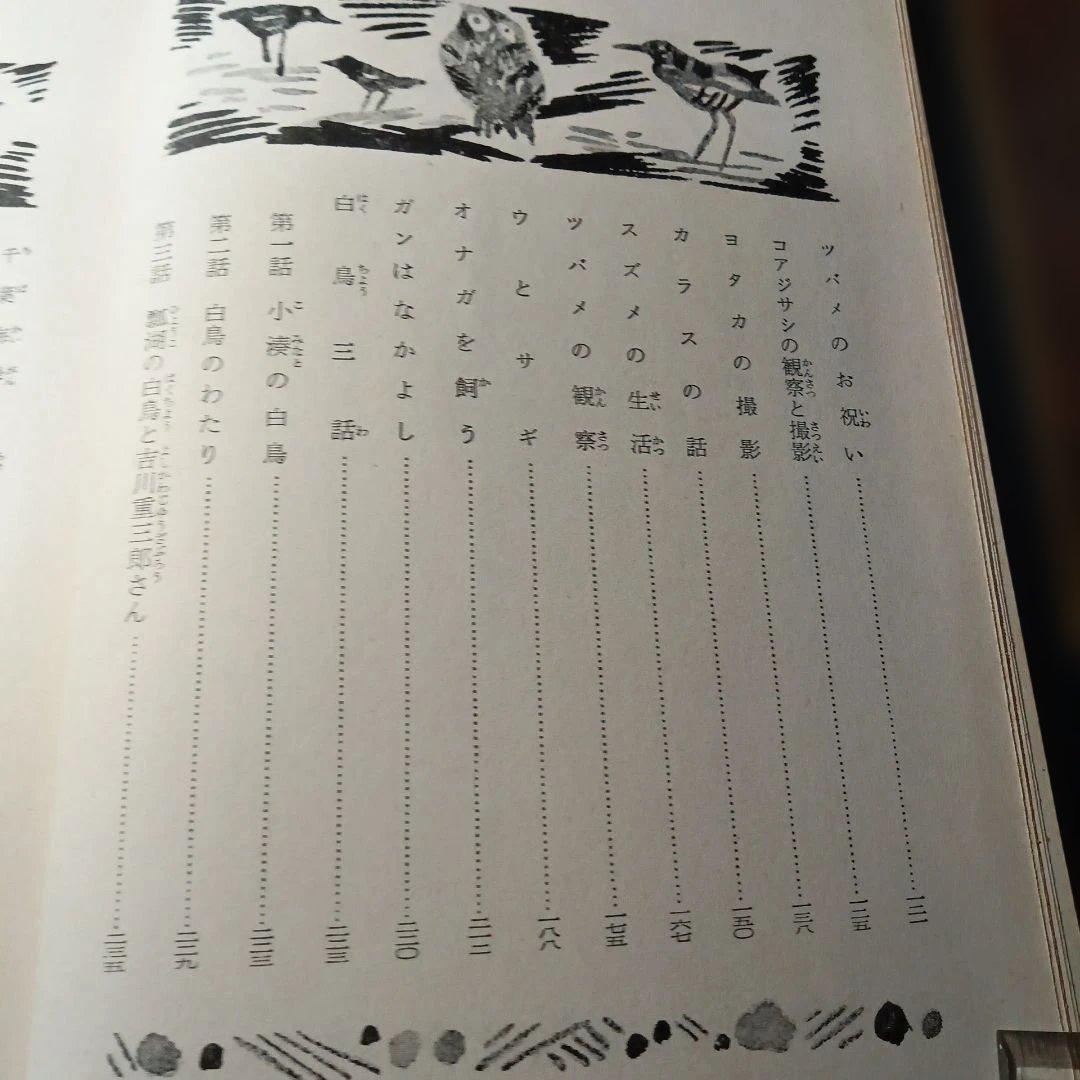 中西悟堂集　新日本少年少女文学全集