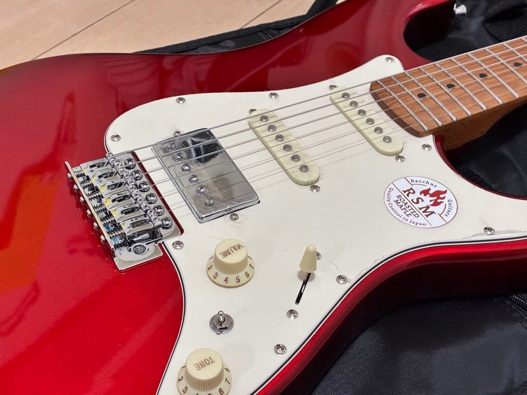 Bacchus GS-2DX RSM/M CAR ステンレスフレット　新品
