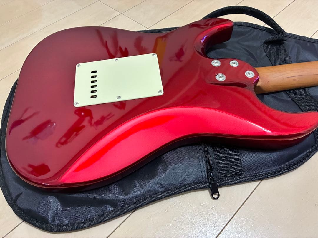 Bacchus GS-2DX RSM/M CAR ステンレスフレット　新品