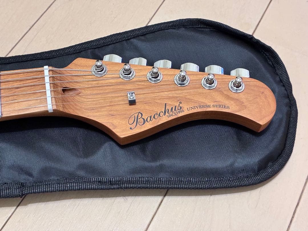 Bacchus GS-2DX RSM/M CAR ステンレスフレット　新品