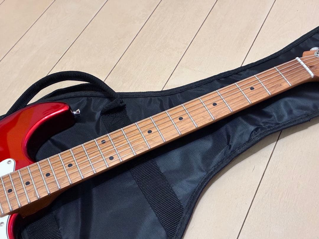 Bacchus GS-2DX RSM/M CAR ステンレスフレット　新品