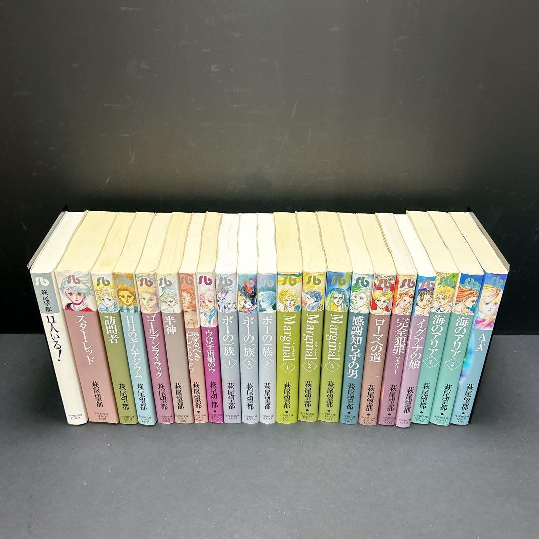 萩尾望都 小学館文庫 21冊セット まとめ売り ポーの一族 イグアナの娘