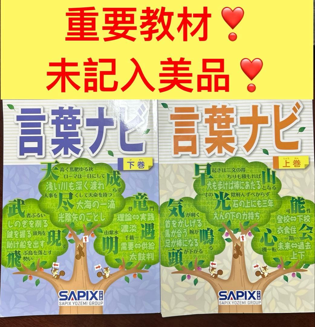 22-20ち　重要教材　サピックス　SAPIX 言葉ナビ 上巻・下巻セット