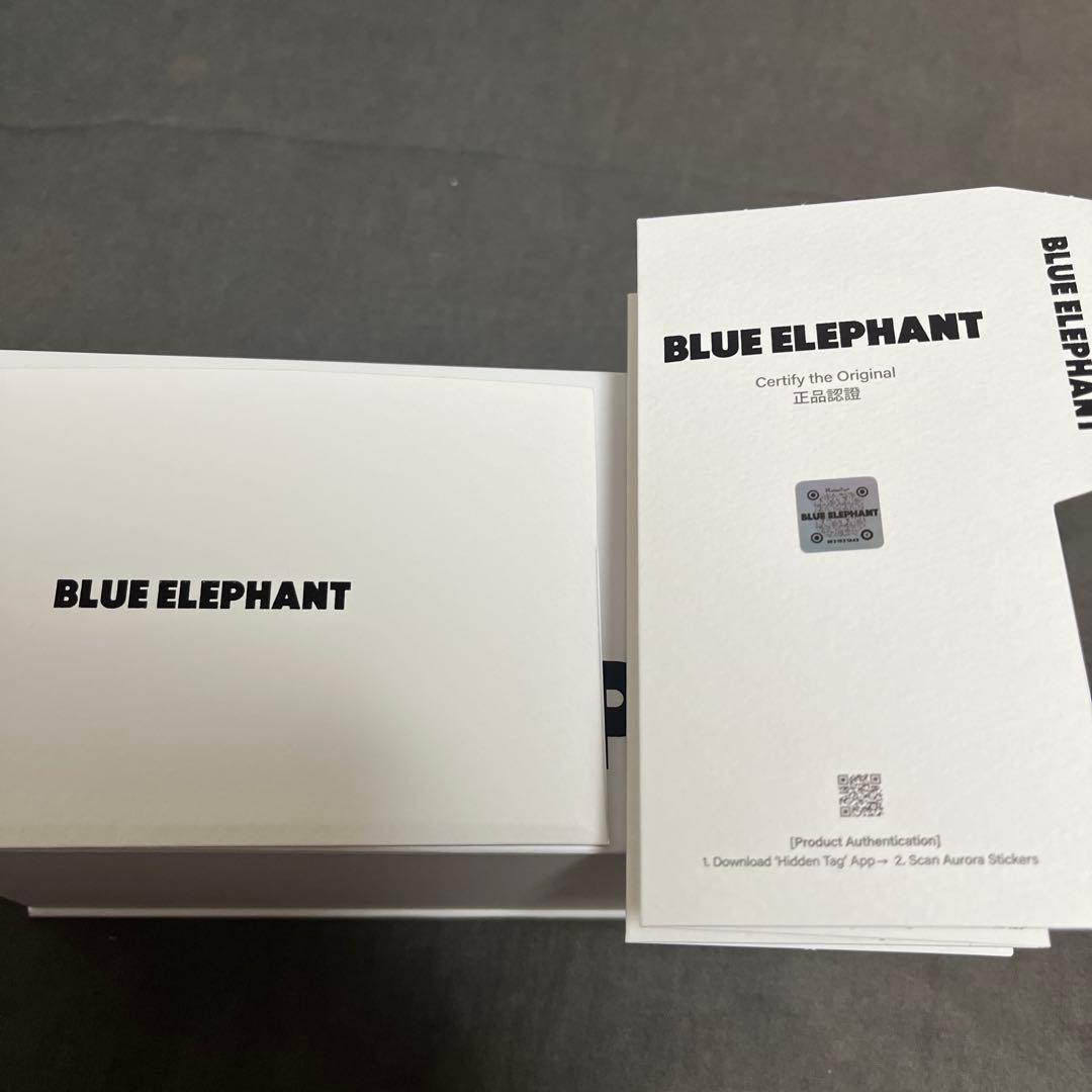 【極美品】 BLUE ELEPHANT ブルーエレファント リムレスメガネ