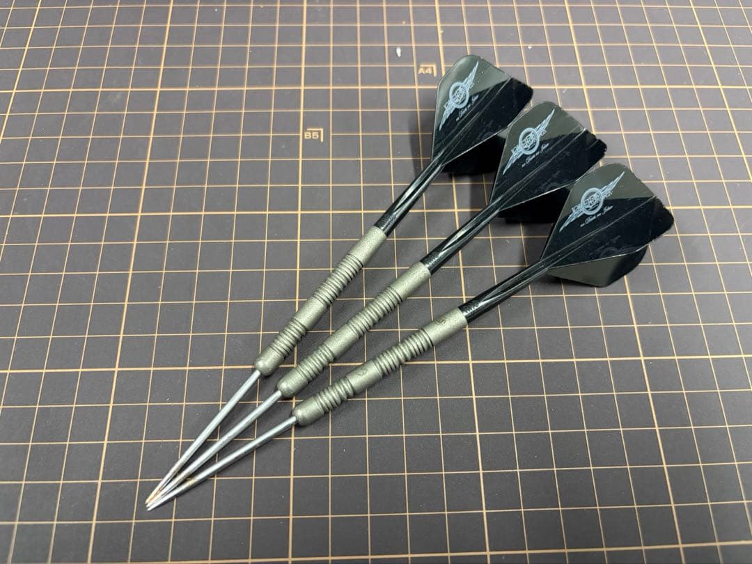 Winmau MVG Exact(イグザクト) 21g スティール