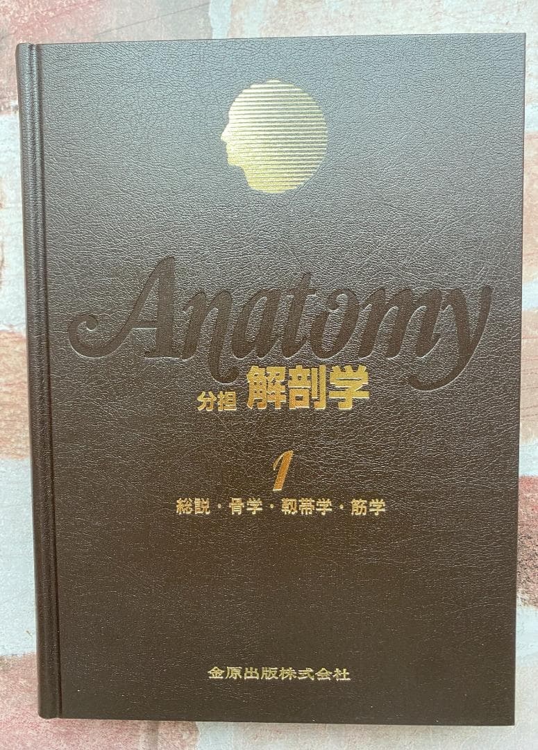 分担解剖学 1-3 セット