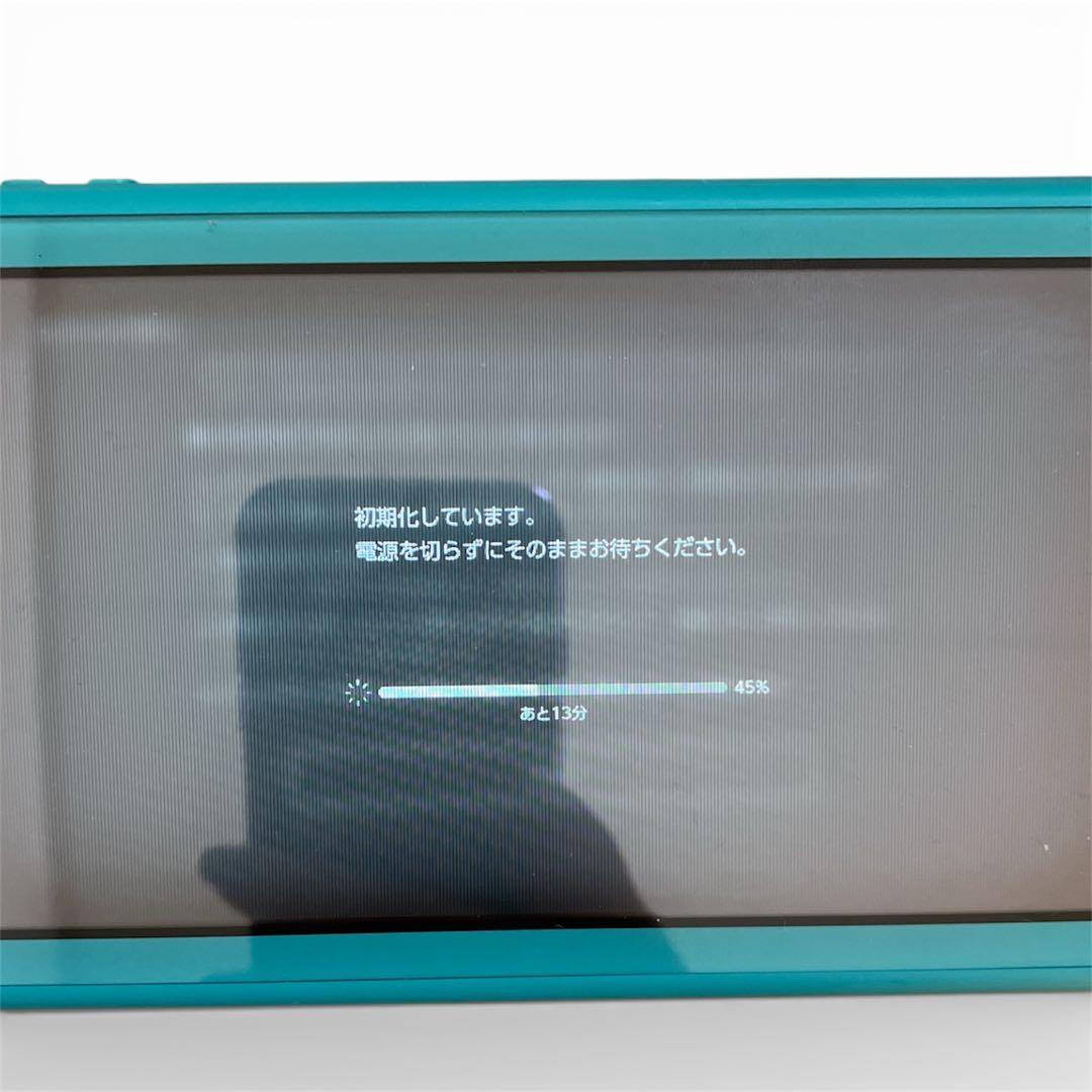 Nintendo Switch Lite 本体 ジャンク品