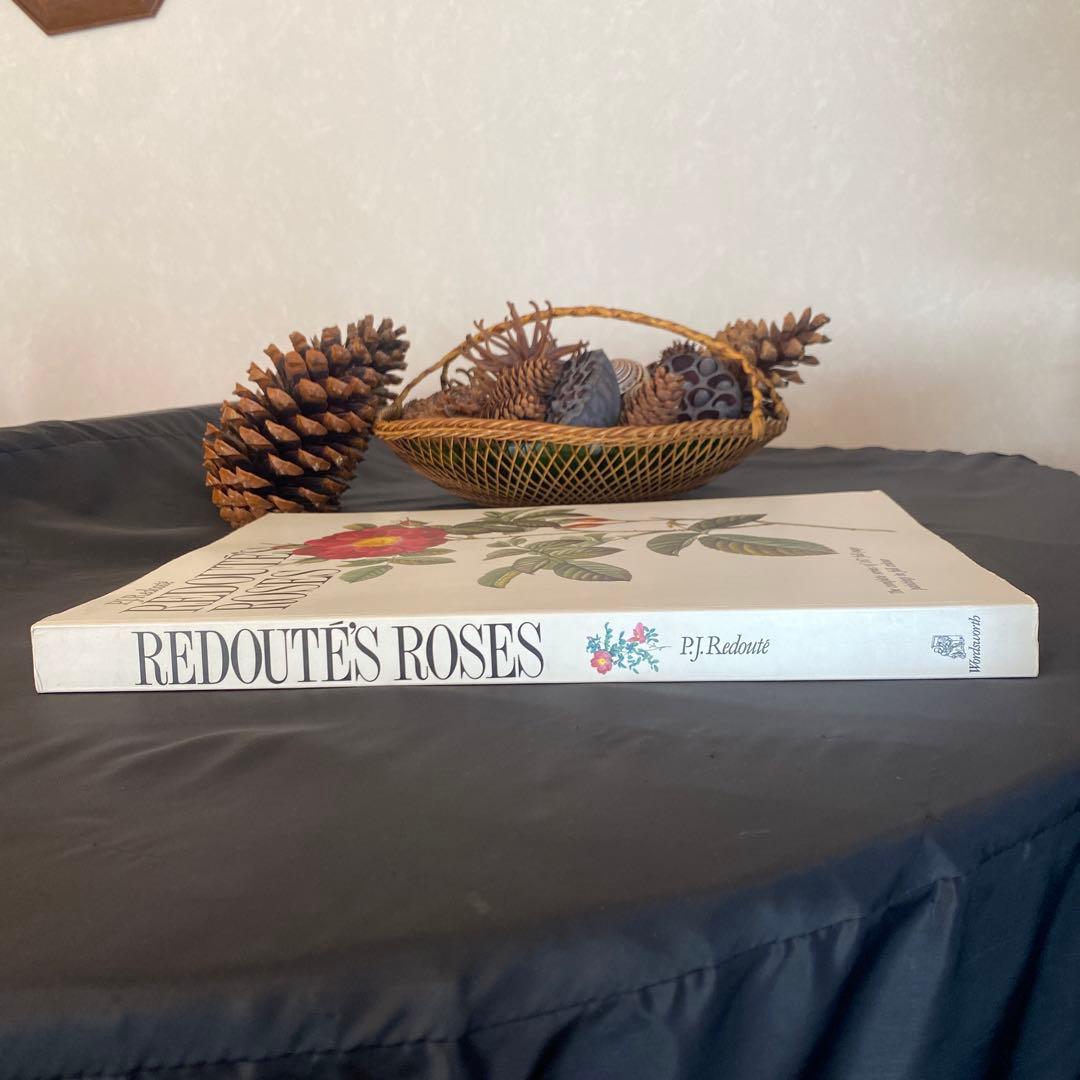 アート・デザイン・音楽 REDOUTE'S ROSES