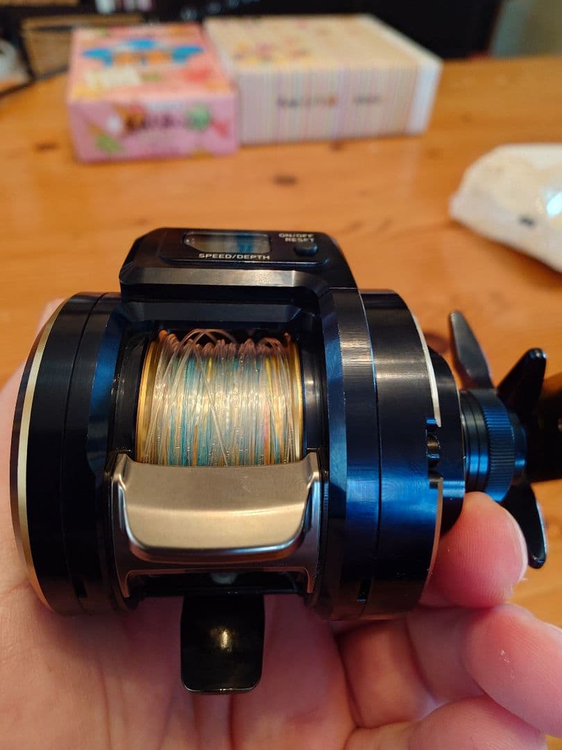 使用数回美品、SALTIGA IC 300 SLP WORKS カスタム品