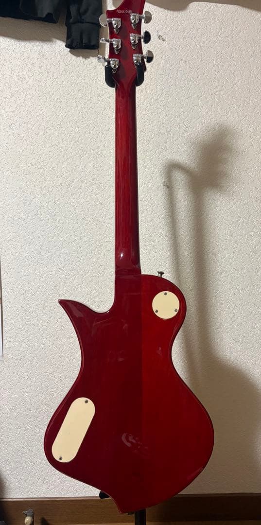 ギター FERNANDES RAVELLE