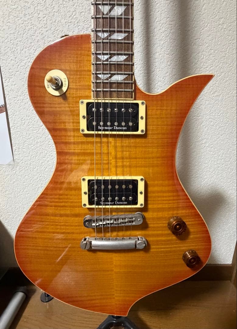 ギター FERNANDES RAVELLE