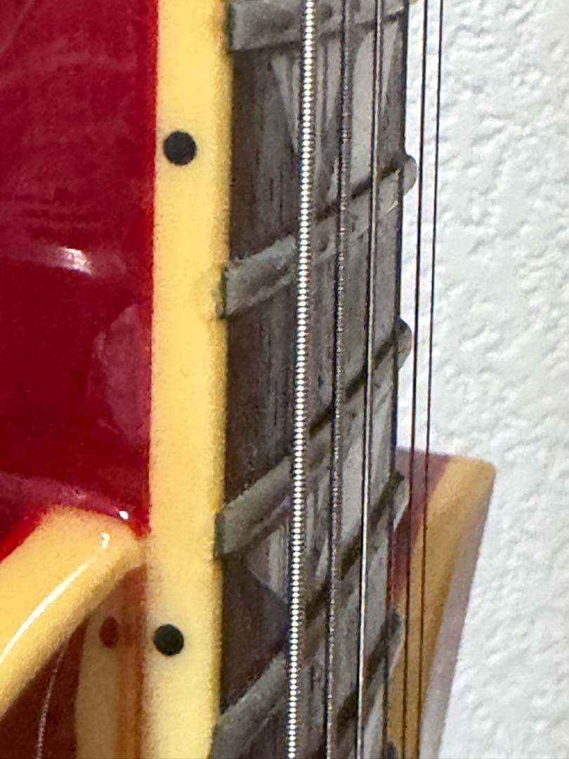 ギター FERNANDES RAVELLE