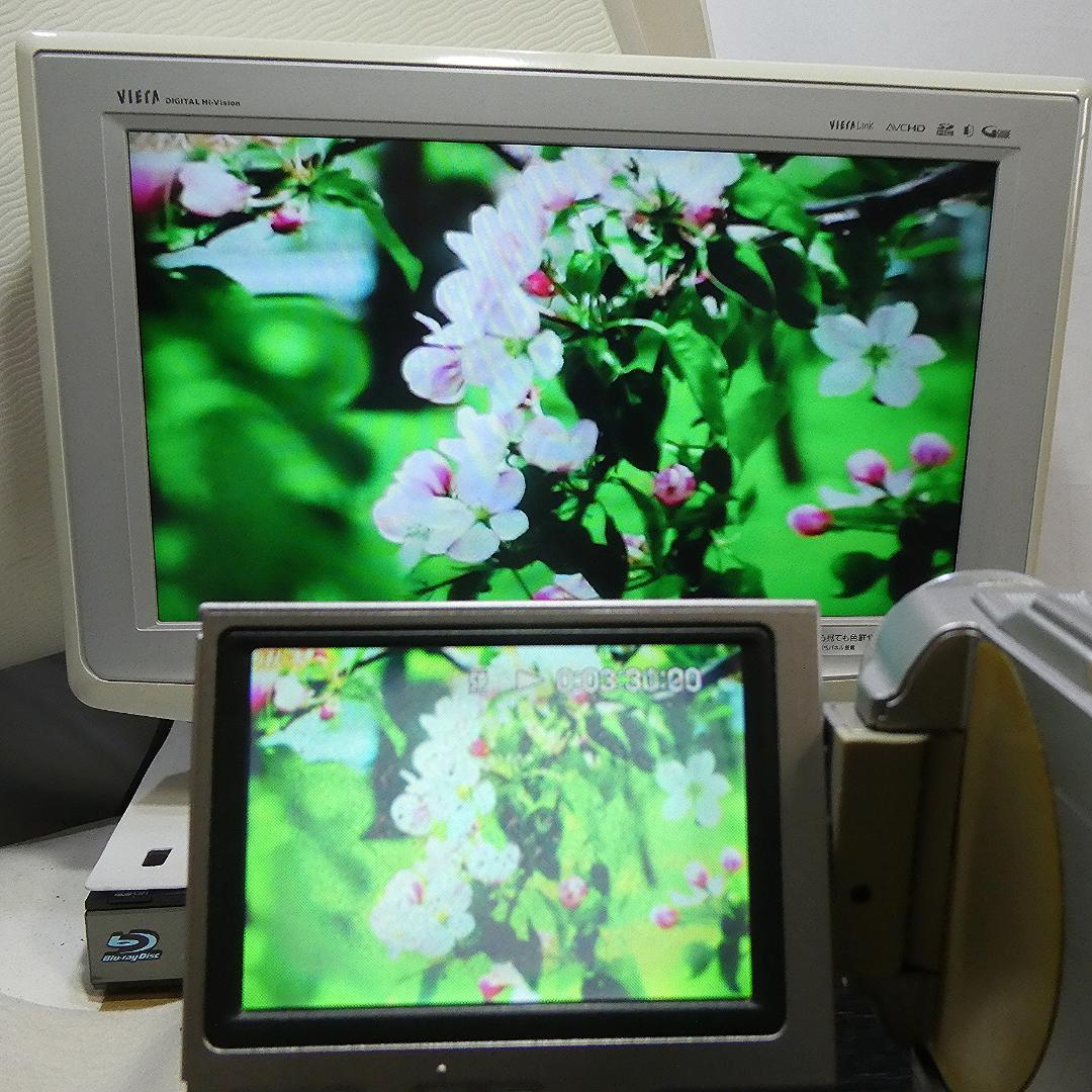 ソニー DCR-TRV8 【動作良好】MiniDV ビデオカメラ　ダビングに最適
