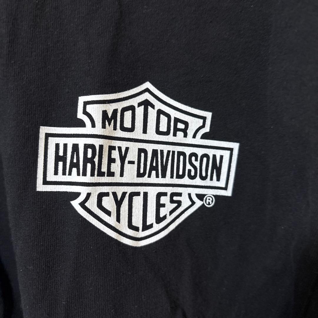 試着のみダルクスポーツ×Harley-Davidson ダメージTシャツ M