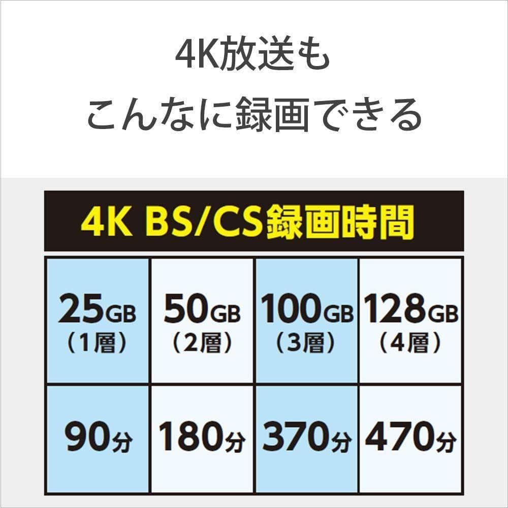 ソニー ブルーレイディスク BD-RE XL 100GB 10枚 (120時間)