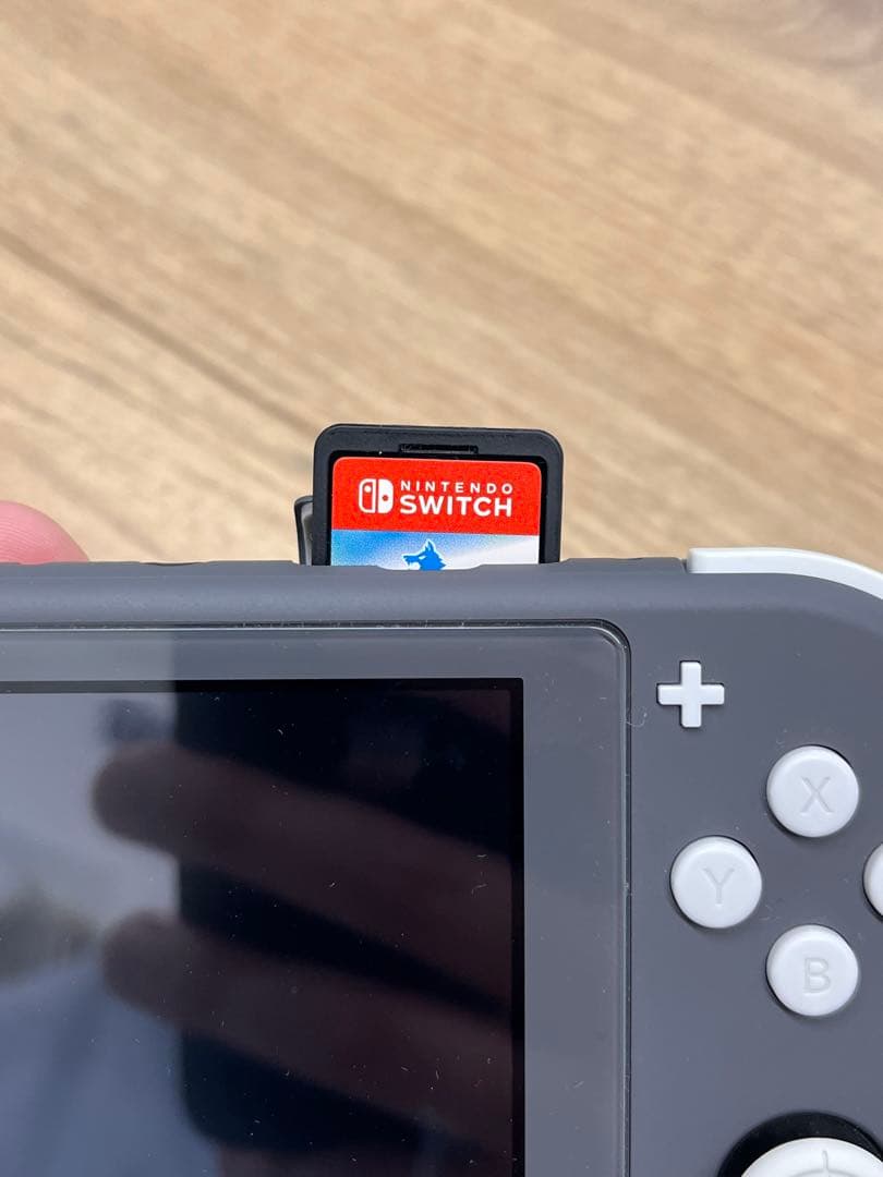 美品！ Nintendo Switch Lite ポケモンカセット ケース付き