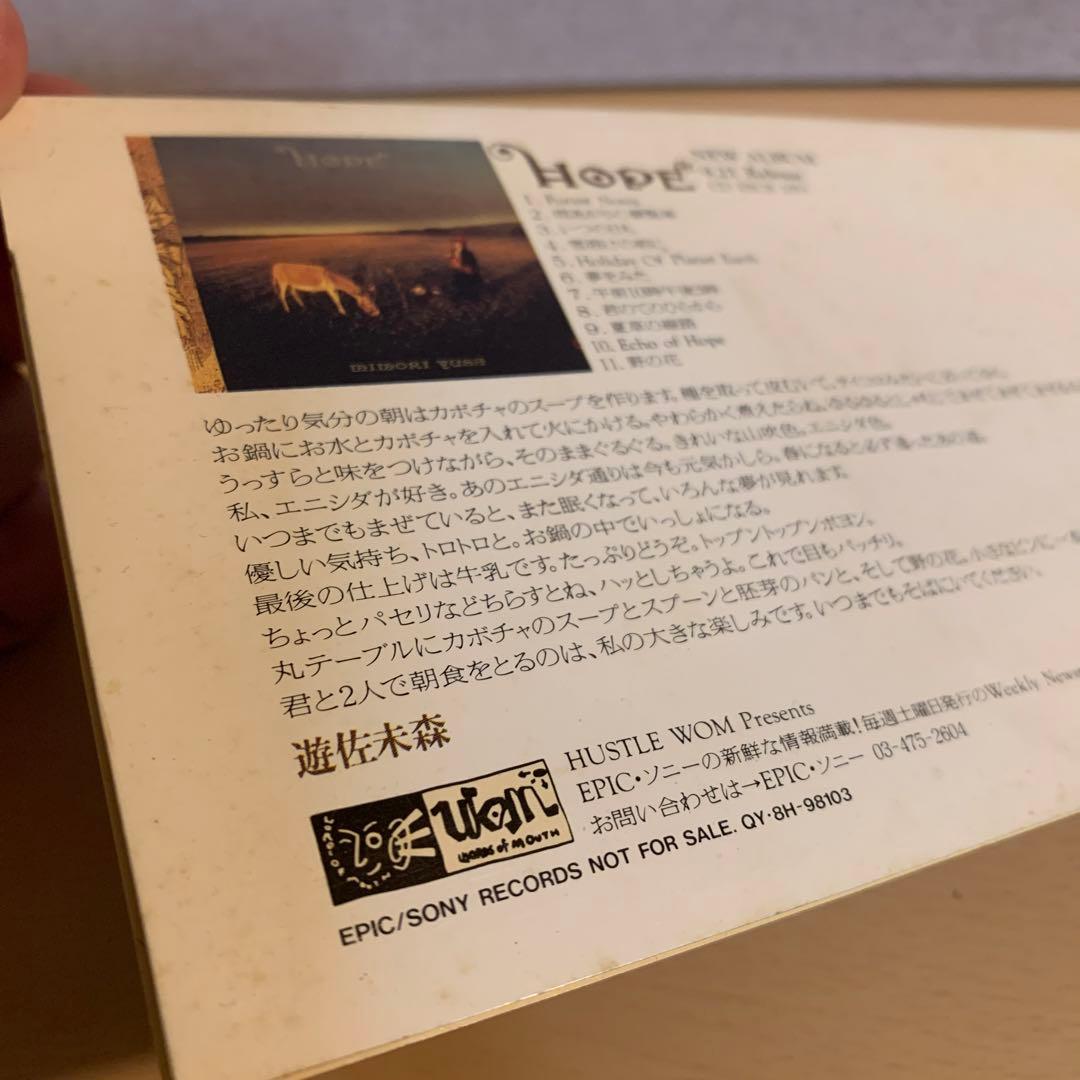 遊佐未森 サウンドカタログ voice of HOPE