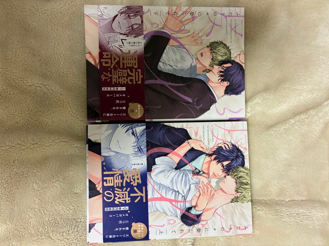 恋愛漫画 ボーイズラブ 全巻セット