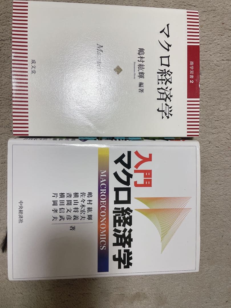 大学教科書まとめ売り（バラ売り可能）（早稲田商学部）