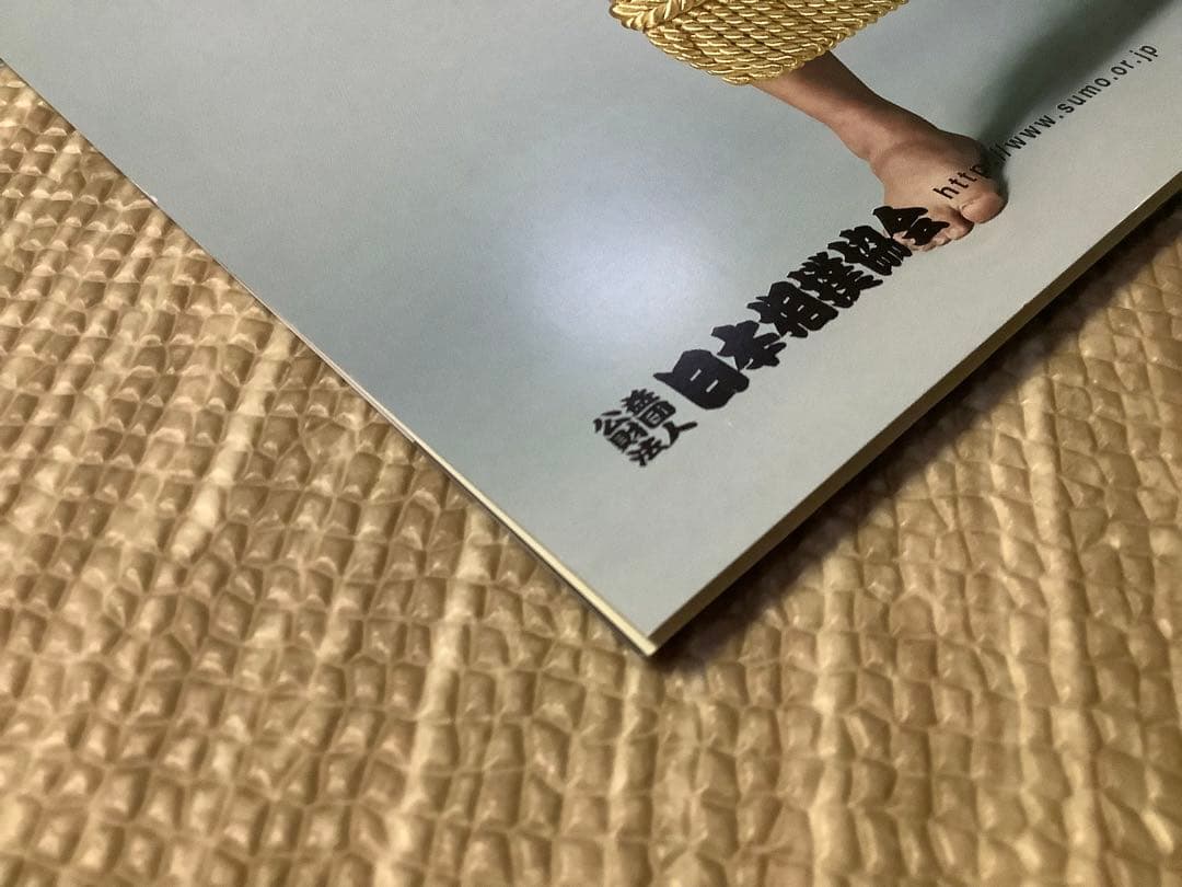 ￼2019年　大相撲３月場所　大阪場所　パンフレット
