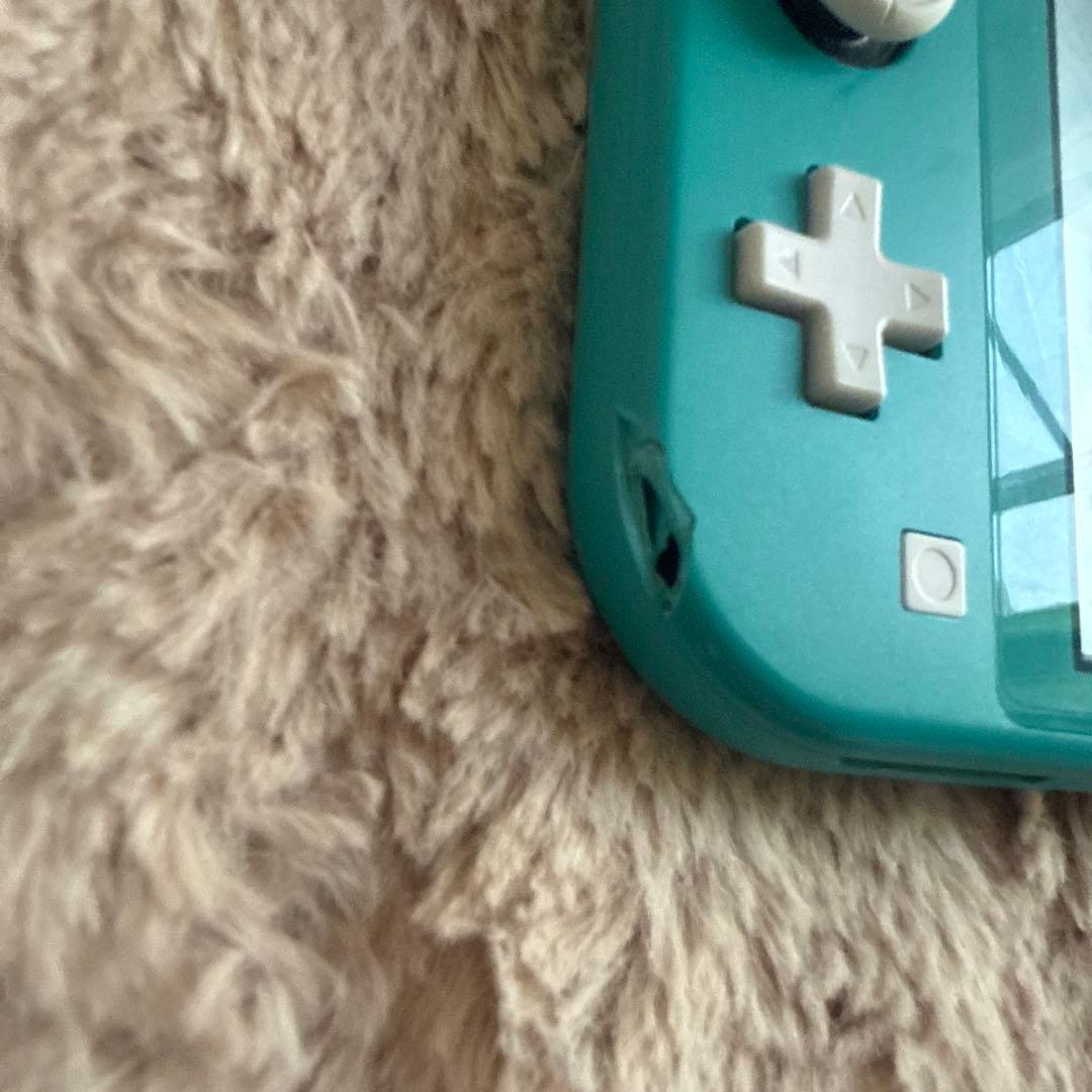 Nintendo Switch Lite ターコイズと充電器付き