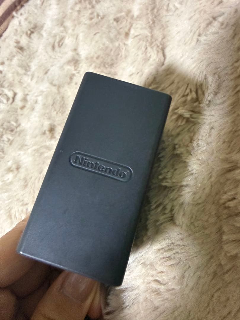 Nintendo Switch Lite ターコイズと充電器付き