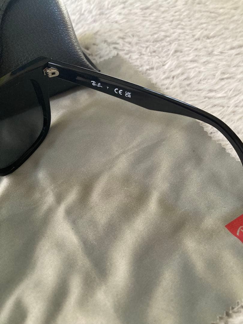 Ray-Ban サングラス RB4391D