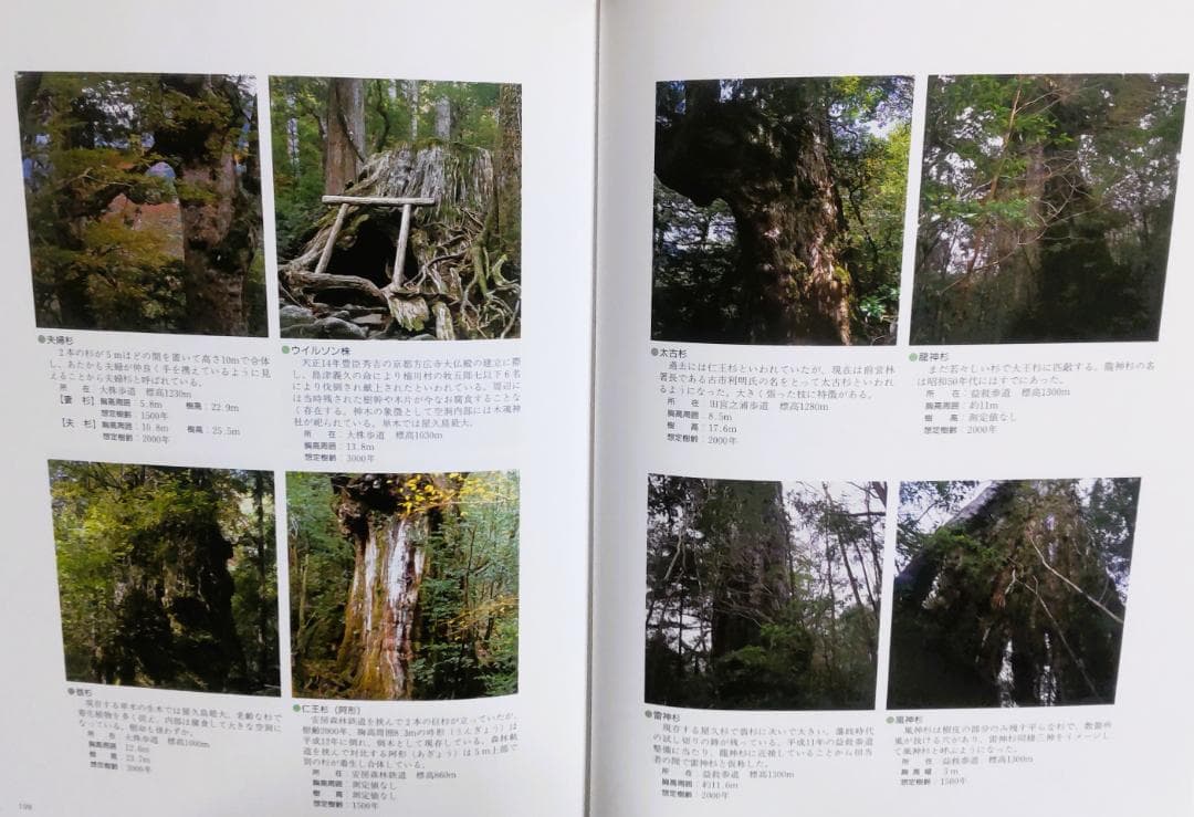 至宝の大自然屋久島　源流を求めて　太田五雄山岳記録写真文集