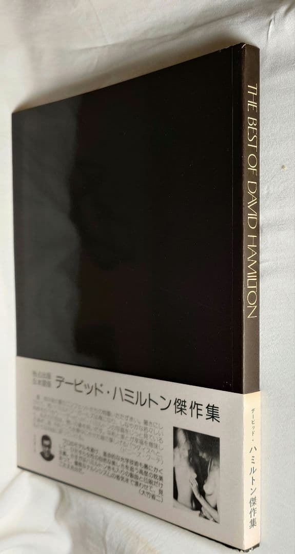 初版/帯『デービッド・ハミルトン傑作集(日本語版)』岩崎秀夫 編 (近代映画社)